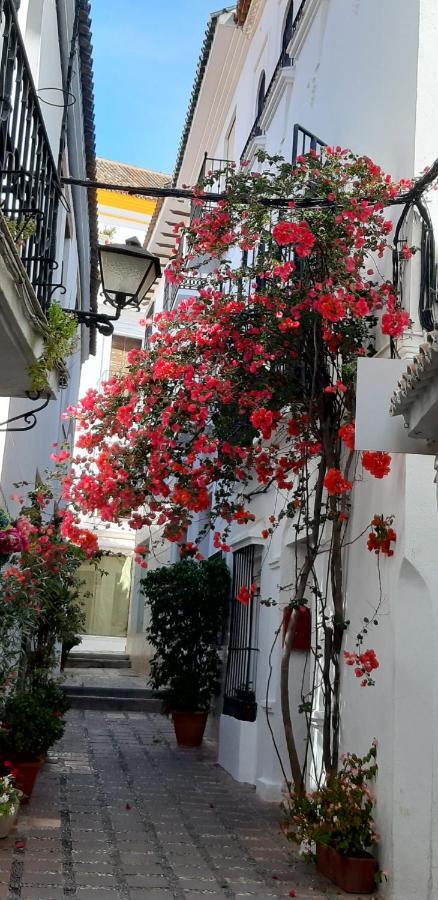 Precioso Y Acogedor Atico Old Town Lejlighed Marbella Eksteriør billede