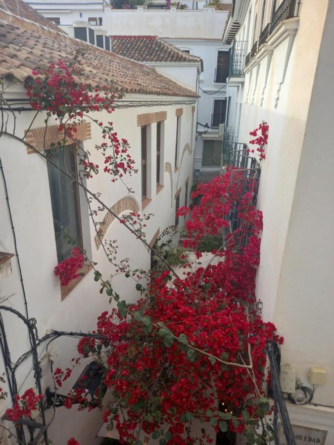 Precioso Y Acogedor Atico Old Town Lejlighed Marbella Eksteriør billede